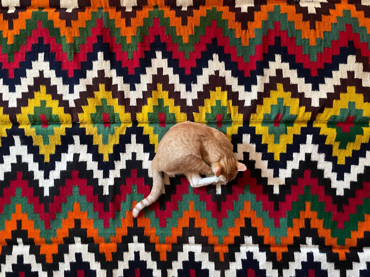 How to clean a wool carpet